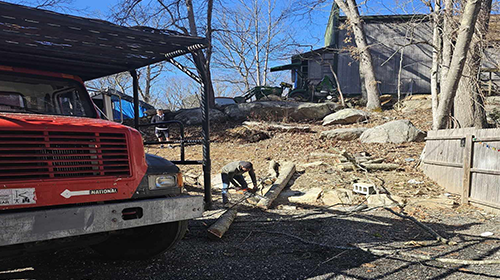 Tree lopping service